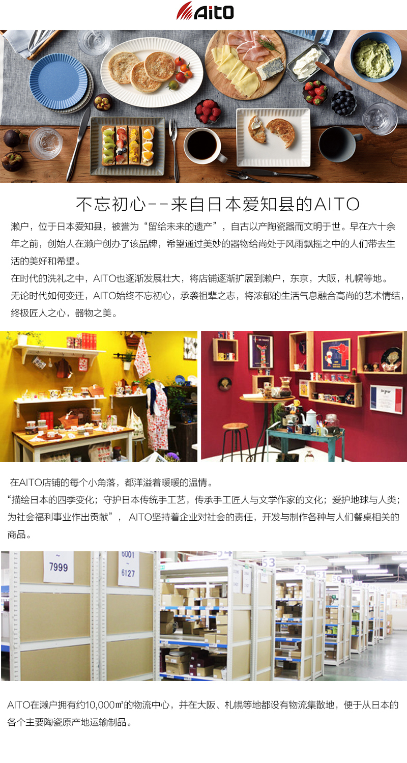 日本原产AITO Botamical美浓烧陶瓷餐盘餐碗碟子 6件套装