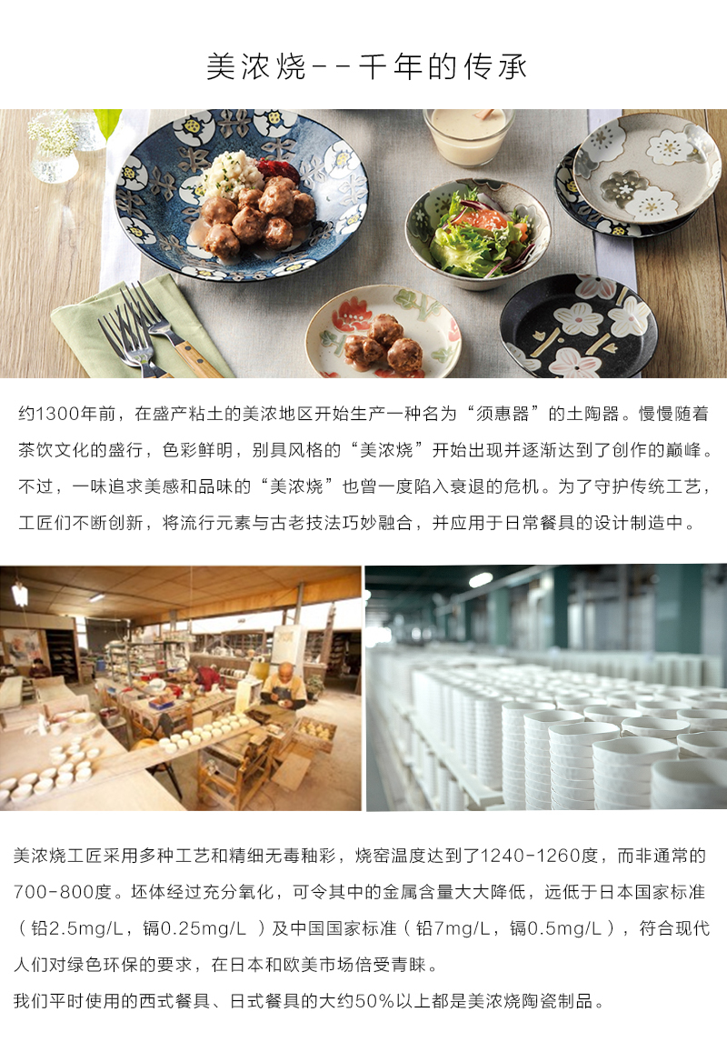 日本原产AITO Botamical美浓烧陶瓷餐盘餐碗碟子 6件套装