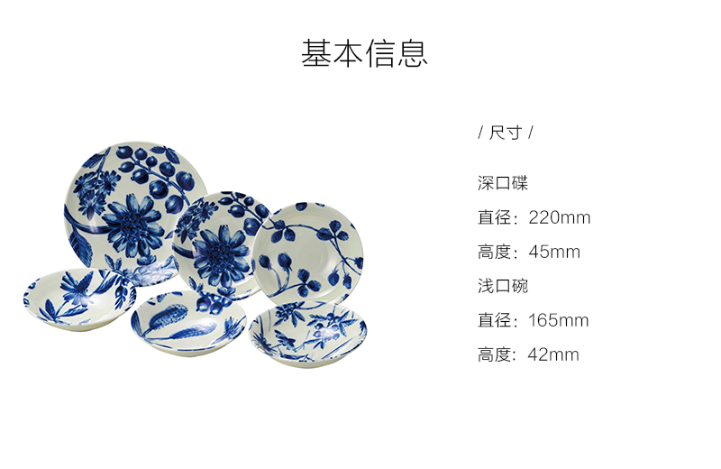 日本原产AITO Botamical美浓烧陶瓷餐盘餐碗碟子 6件套装