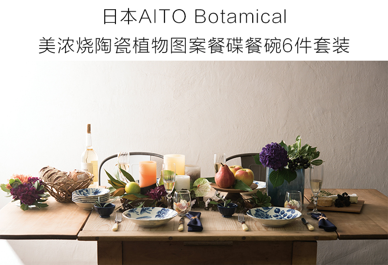 日本原产AITO Botamical美浓烧陶瓷餐盘餐碗碟子 6件套装