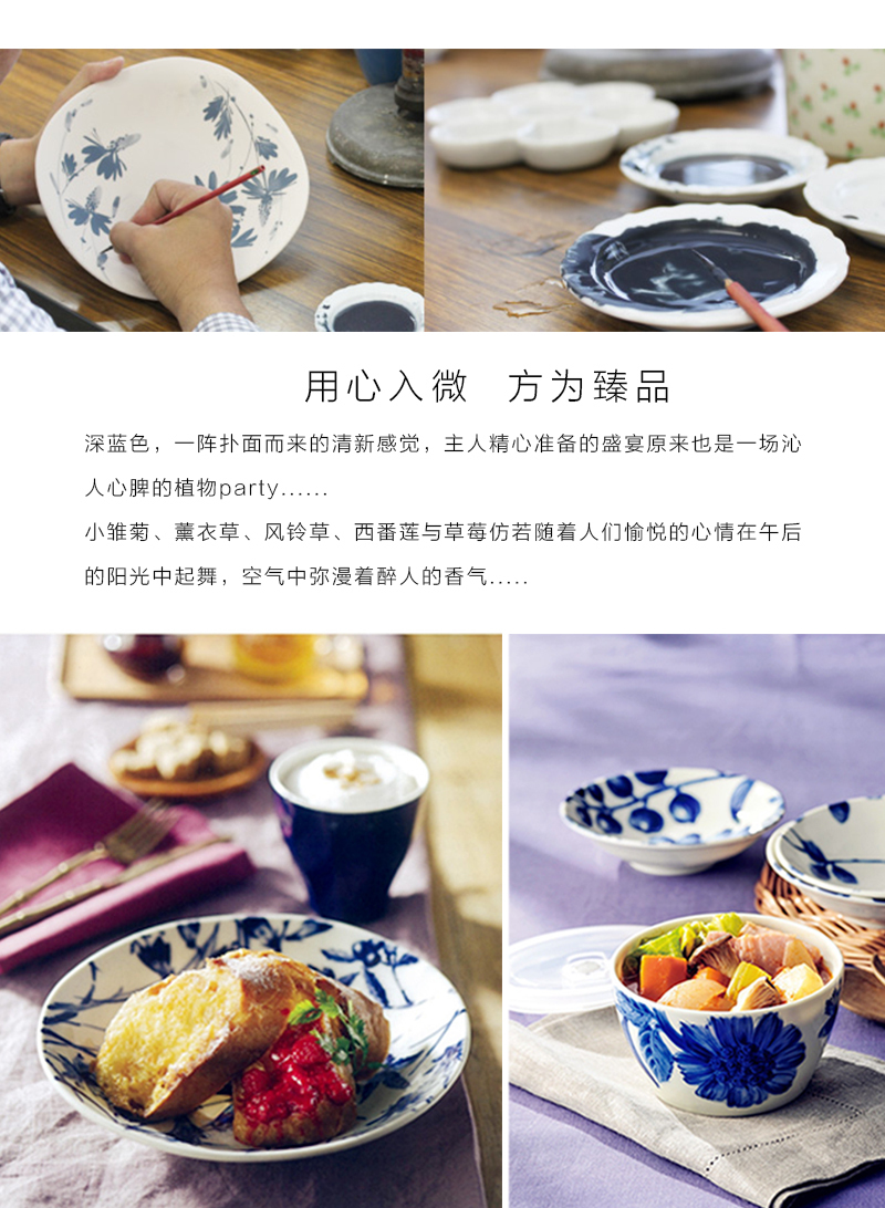 日本原产AITO Botamical美浓烧陶瓷餐盘餐碗碟子 6件套装